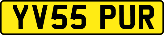 YV55PUR
