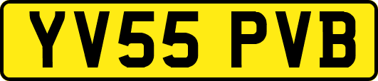 YV55PVB