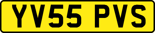 YV55PVS