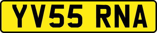 YV55RNA