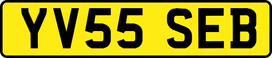 YV55SEB