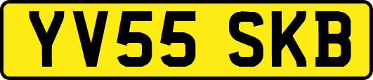 YV55SKB