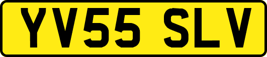 YV55SLV