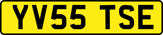 YV55TSE