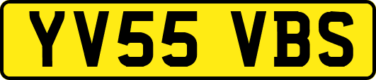 YV55VBS