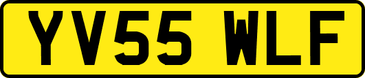 YV55WLF