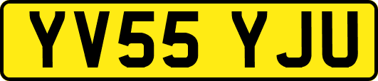 YV55YJU