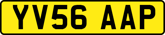 YV56AAP