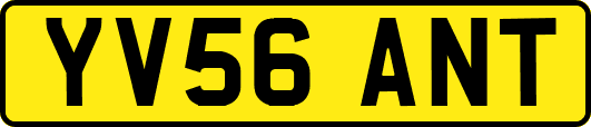 YV56ANT