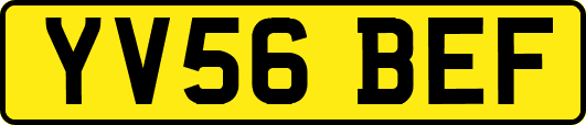 YV56BEF