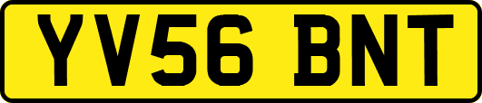 YV56BNT