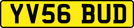 YV56BUD