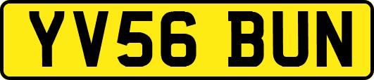 YV56BUN