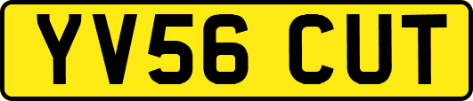 YV56CUT
