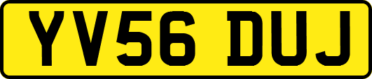 YV56DUJ