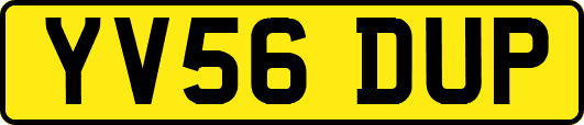 YV56DUP