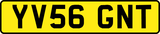 YV56GNT