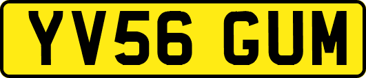 YV56GUM