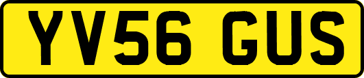 YV56GUS