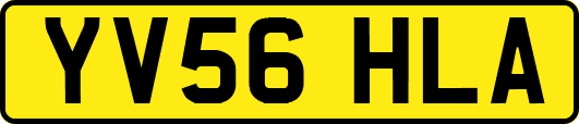 YV56HLA
