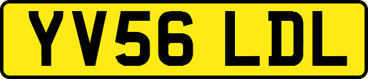 YV56LDL