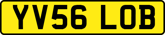 YV56LOB