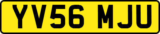 YV56MJU