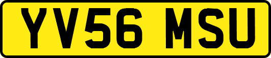 YV56MSU