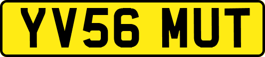 YV56MUT