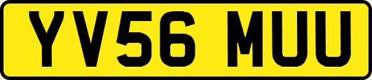 YV56MUU