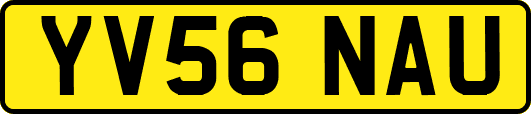 YV56NAU