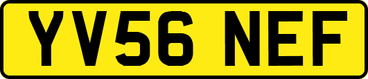 YV56NEF