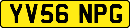 YV56NPG