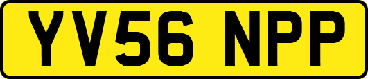 YV56NPP