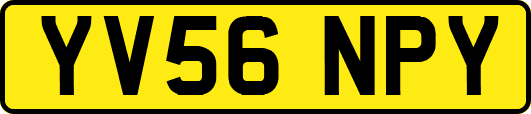 YV56NPY