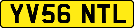 YV56NTL