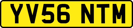 YV56NTM