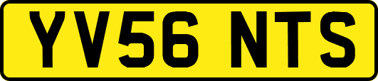YV56NTS