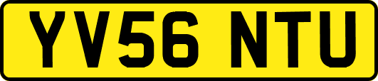 YV56NTU