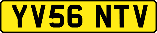 YV56NTV
