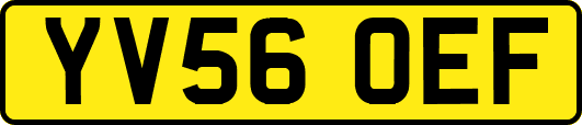 YV56OEF