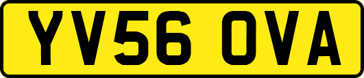 YV56OVA