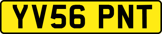 YV56PNT