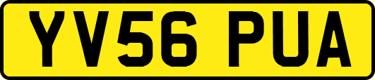YV56PUA