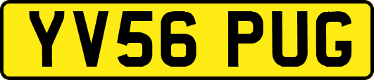 YV56PUG