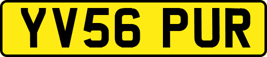 YV56PUR