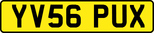 YV56PUX