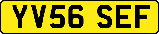 YV56SEF