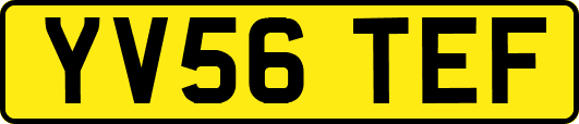 YV56TEF