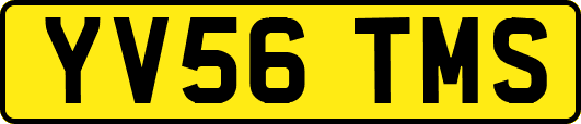 YV56TMS